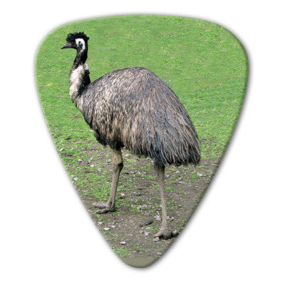 Australian Animals - Emu Picks (10 pack) - Custom Printed Picks - Custom Plektrum - Plektren Bedrucken - puas personalizadas