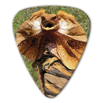 Australian Animals - Frill Neck Lizard Picks (10 pack) - Custom Printed Picks - Custom Plektrum - Plektren Bedrucken - puas personalizadas