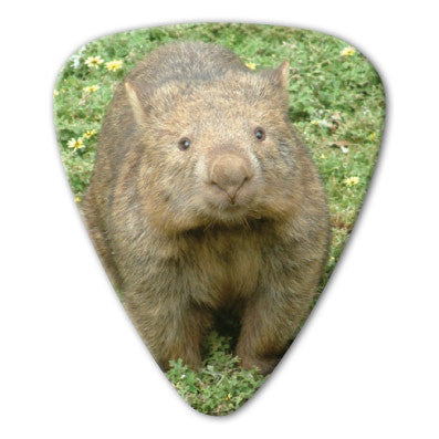 Australian Animals - Wombat Picks (10 pack) - Custom Printed Picks - Custom Plektrum - Plektren Bedrucken - puas personalizadas