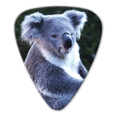 Australian Animals - Koala Picks (10 pack) - Custom Printed Picks - Custom Plektrum - Plektren Bedrucken - puas personalizadas