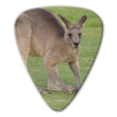 Australian Animals - Kangaroo Picks (10 pack) - Custom Printed Picks - Custom Plektrum - Plektren Bedrucken - puas personalizadas