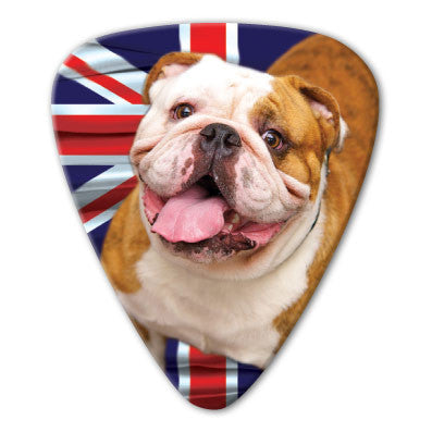England - English Bulldog Picks (10 pack) - Custom Printed Picks - Custom Plektrum - Plektren Bedrucken - puas personalizadas