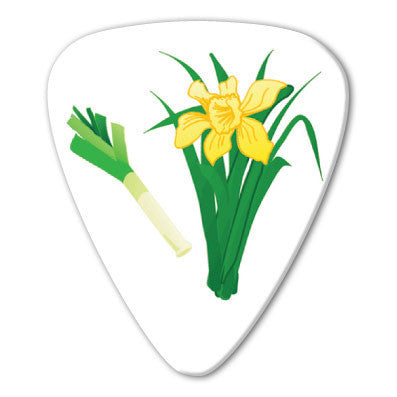 Wales - Daffodils Picks (10 pack) - Custom Printed Picks - Custom Plectrum - Plektren Bedrucken - Mediators